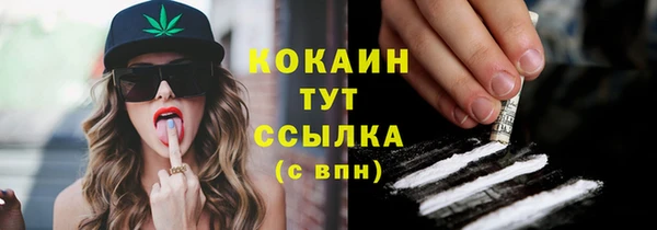 винт Бронницы