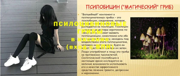 спиды Бугульма