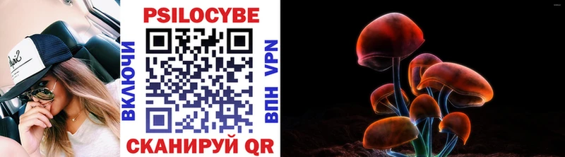 Галлюциногенные грибы мухоморы  Купить  Рыбное 